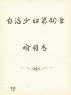 白洁少妇第40章
