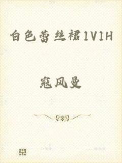 白色蕾丝裙1V1H