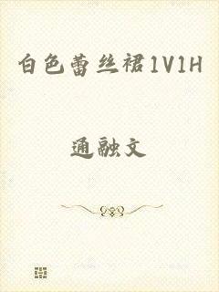 白色蕾丝裙1V1H