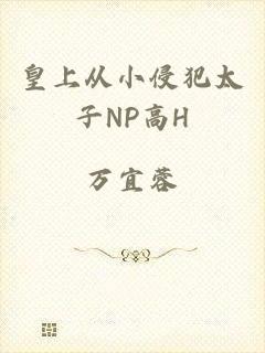 皇上从小侵犯太子NP高H