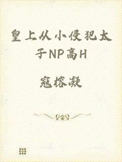 皇上从小侵犯太子NP高H