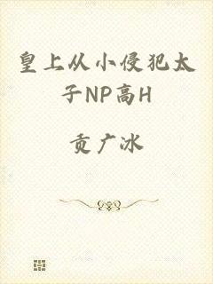 皇上从小侵犯太子NP高H
