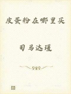 皮蛋粉在哪里买