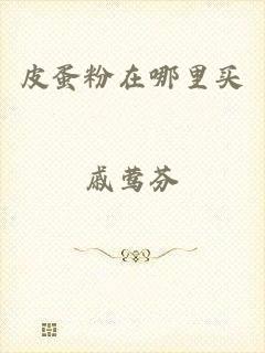 皮蛋粉在哪里买