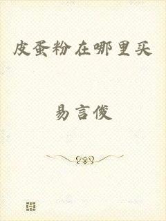 皮蛋粉在哪里买
