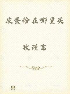 皮蛋粉在哪里买