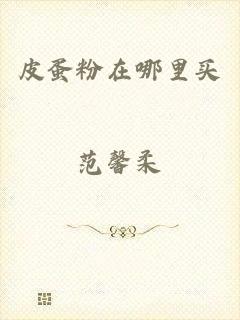 皮蛋粉在哪里买