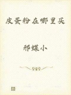 皮蛋粉在哪里买