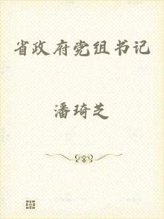 省政府党组书记