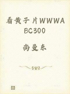 看黄子片WWWABC300