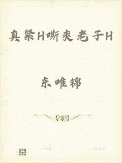真紧H嘶爽老子H