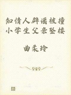知情人辟谣被撞小学生父亲坠楼