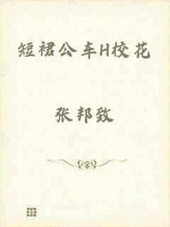 短裙公车H校花