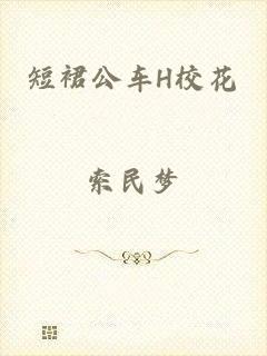 短裙公车H校花