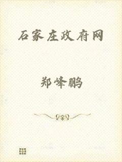 石家庄政府网