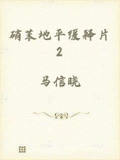 硝苯地平缓释片2