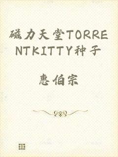 磁力天堂TORRENTKITTY种子