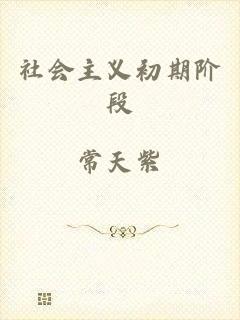 社会主义初期阶段