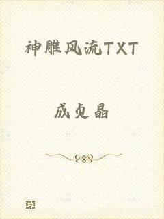 神雕风流TXT