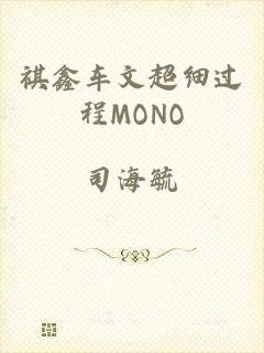 祺鑫车文超细过程MONO