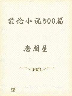 禁伦小说500篇