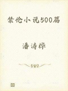禁伦小说500篇