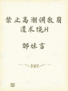 禁止高潮调教崩溃求饶H