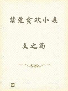 禁爱贪欢小妻