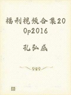 福利视频合集200p2016