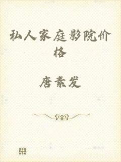 私人家庭影院价格