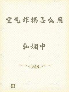 空气炸锅怎么用