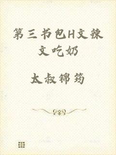 第三书包H文辣文吃奶