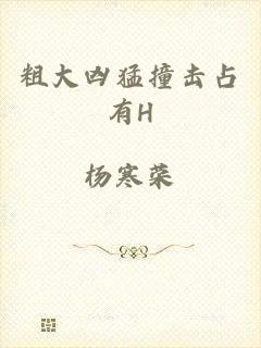 粗大凶猛撞击占有H