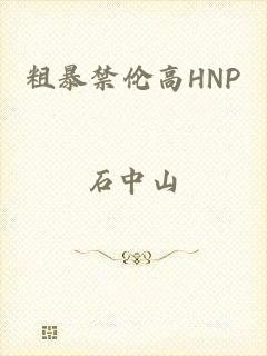 粗暴禁伦高HNP