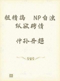 粗精捣泬NP白浊纵欲骋情