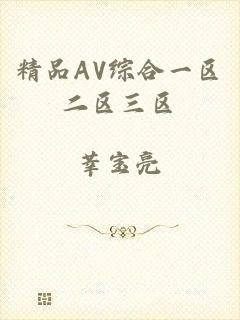 精品AV综合一区二区三区