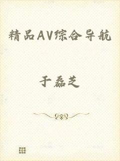 精品AV综合导航