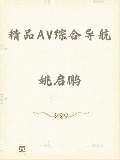 精品AV综合导航