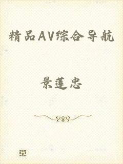 精品AV综合导航