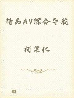 精品AV综合导航