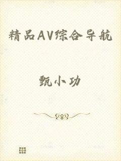 精品AV综合导航