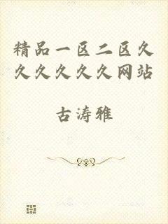 精品一区二区久久久久久久网站