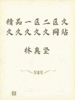 精品一区二区久久久久久久网站