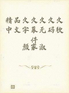 精品久久久久久中文字幕无码软件
