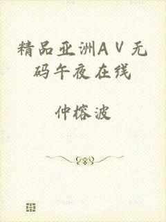 精品亚洲AⅤ无码午夜在线