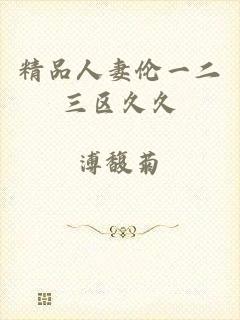 精品人妻伦一二三区久久