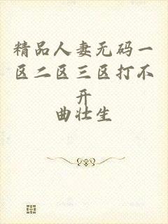 精品人妻无码一区二区三区打不开