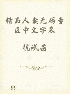 精品人妻无码专区中文字幕