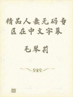 精品人妻无码专区在中文字幕
