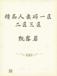 精品人妻码一区二区三区